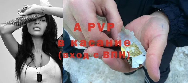 закладки  Бобров  A PVP крисы CK 